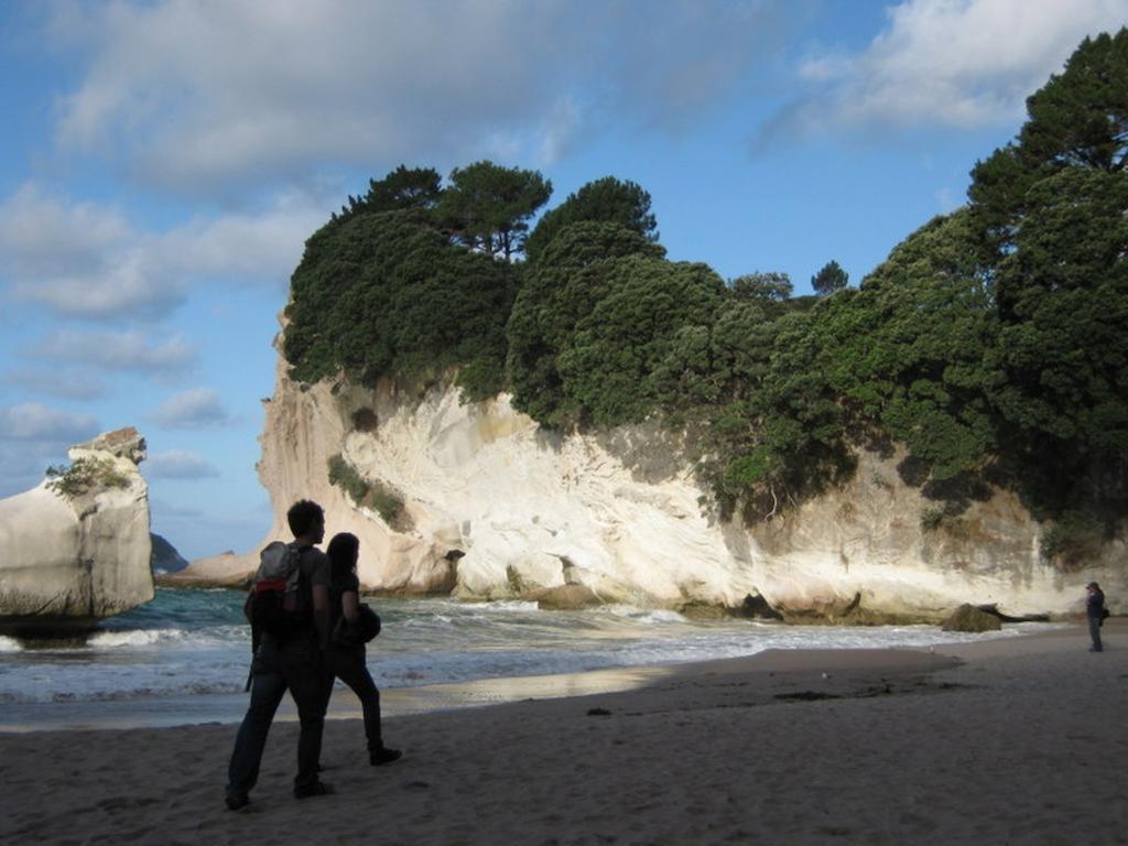 Cathedral Cove Apartment Hahei Rum bild